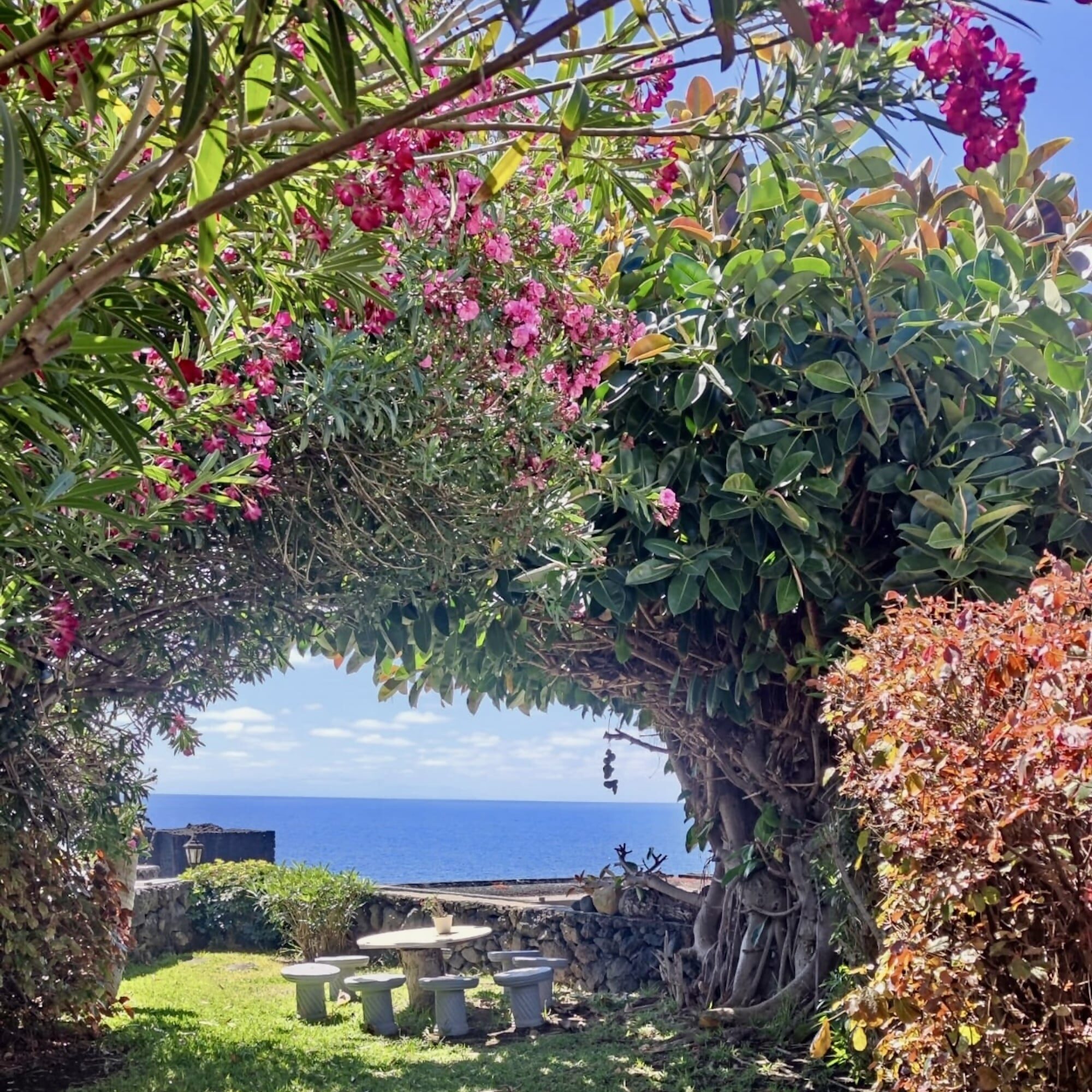 Casa mar y jardín