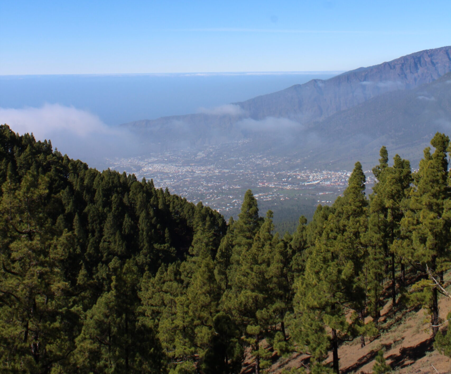 La Palma en otoño